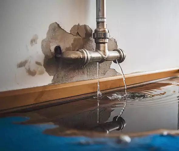 Professional Water Damage Restoration Experts in Wheeling, WV — Fast, Reliable & Certified