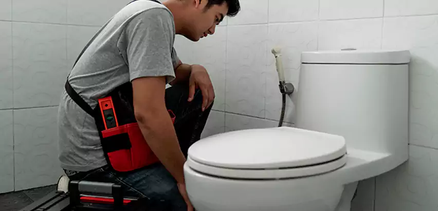 Toilet Repair in Wheeling