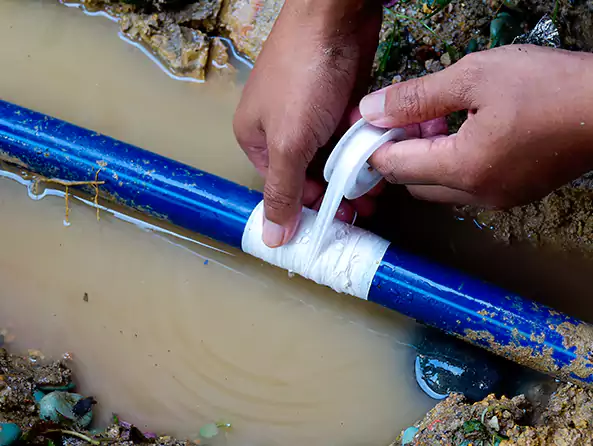  Why Choose Wheeling Plumbers for Leak Detection in Wheeling, WV?]