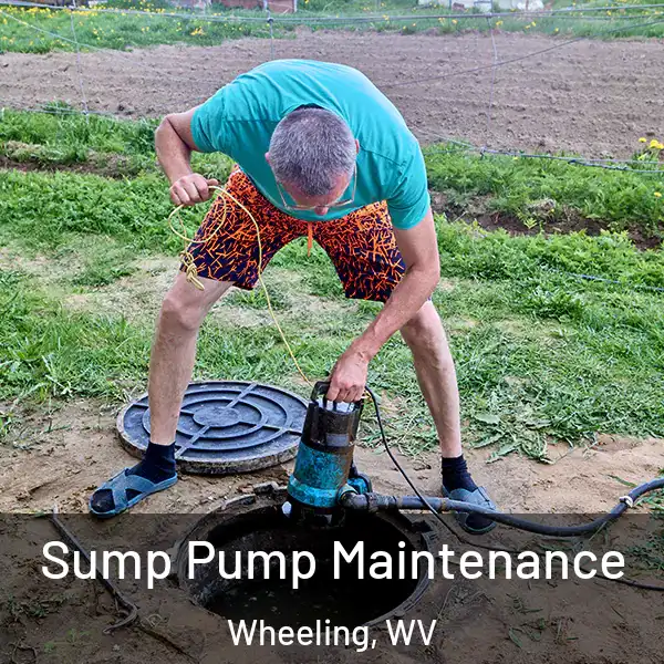  Sump Pump Maintenance Wheeling, WV