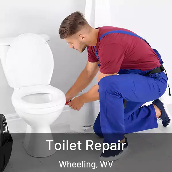  Toilet Repair Wheeling, WV